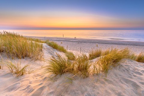 Strand mit Dünen