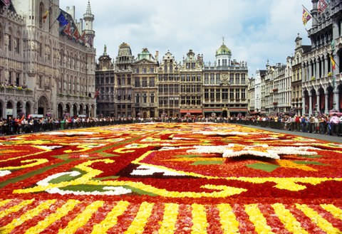 Markt mit Blumenteppich