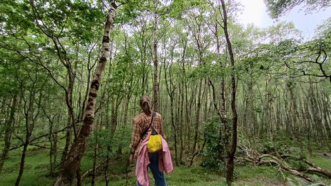 Eine Person steht mit dem Rücken zu uns vor einem Wald. 