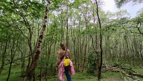 Eine Person steht mit dem Rücken zu uns vor einem Wald. 