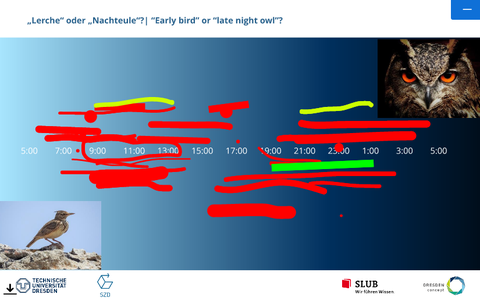 Eine Whiteboardfolie, in die Teilnehmende Zeitspannen markiert haben, zu denen sie besonders gut arbeiten: morgens/vormittags ("Lerche") und nachmittags/abends ("Eule") sind ungefähr gleich oft angegeben.