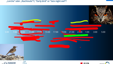 Eine Whiteboardfolie, in die Teilnehmende Zeitspannen markiert haben, zu denen sie besonders gut arbeiten: morgens/vormittags ("Lerche") und nachmittags/abends ("Eule") sind ungefähr gleich oft angegeben.