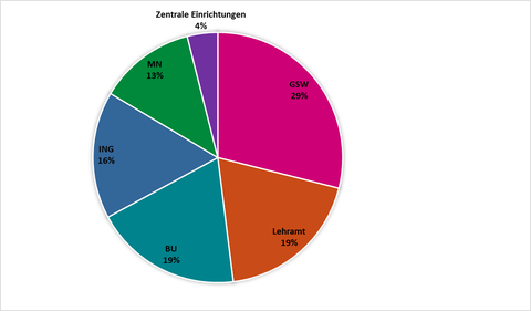 GSW = 29%, ING = 16%, BU = 19%, MN = 13%, Lehramt = 19%