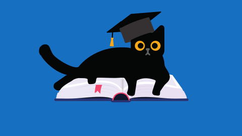 Schwarze Katze mit Doktorenkappe liegt auf aufgeschlagenem Buch