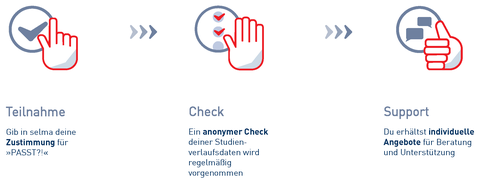 Ablauf der PASST?!-Teilnahme