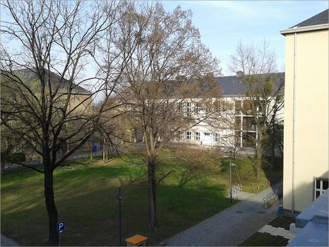 physik
