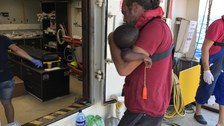 Mission Lifeline
