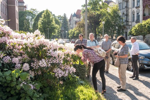 campus