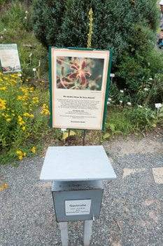Botanischer Garten
