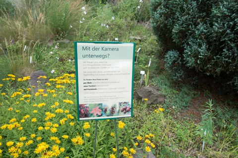Botanischer Garten