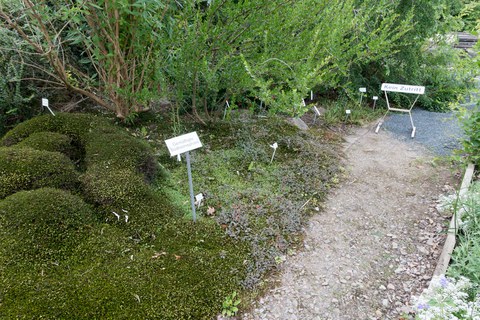 Botanischer Garten