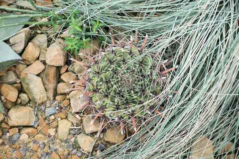 Botanischer Garten