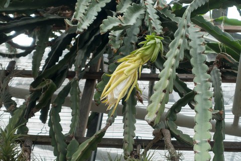Botanischer Garten
