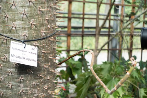 Botanischer Garten