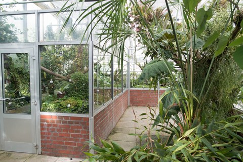 Botanischer Garten