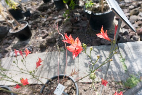 Botanischer Garten