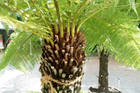 Botanischer Garten