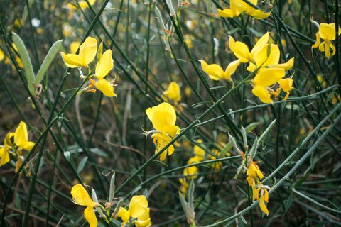 Botanischer Garten