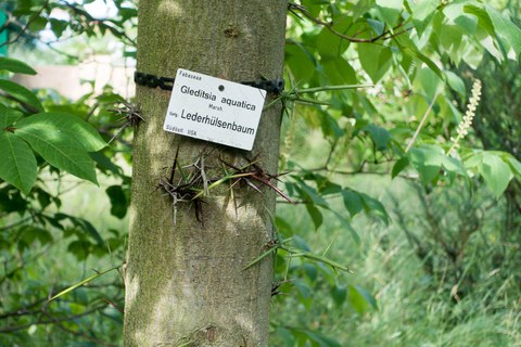 Botanischer Garten