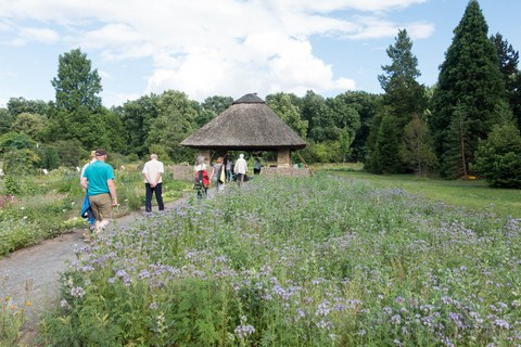 Botanischer Garten
