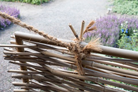 Botanischer Garten