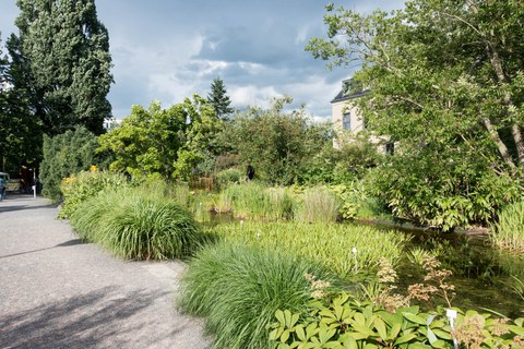 Botanischer Garten