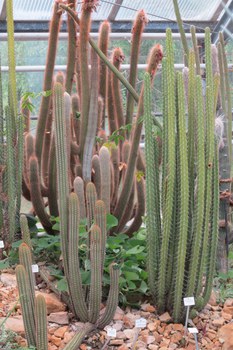 Botanischer Garten