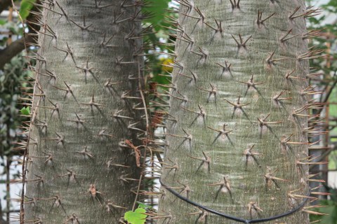 Botanischer Garten