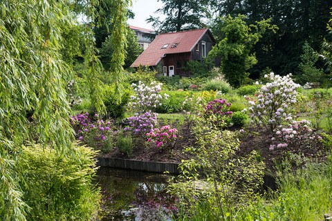 Garten der Familie Evert 