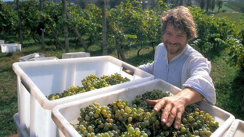 Klaus Zimmerling