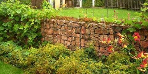 Das Foto zeigt eine Steinmauer in einem Garten. Davor wachsen zahlreiche Pflanzen.