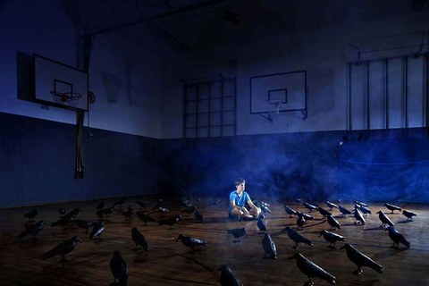 The photo shows a person sitting on the floor in the midst of many ravens.