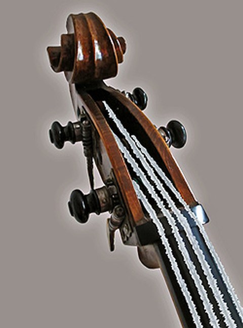 Das Foto zeigt den oberen Teil eines Streichinstrumentes.