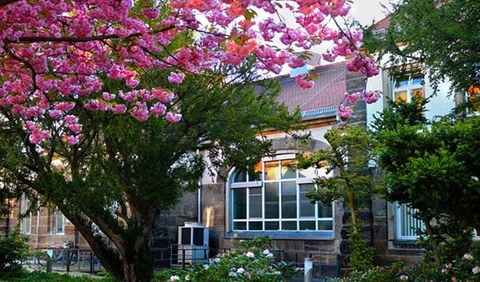 The Institute of Forensic Medicine as shown from outside. In the foreground, a tree with pink blossoms is in bloom.