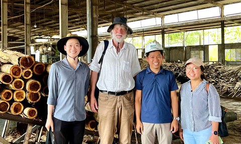 Vietnam_Sägewerk
