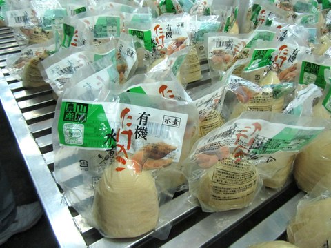 Verarbeitung von Bambussprossen und Export nach Japan