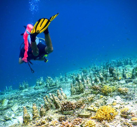 Florian Fiedler diving in Borneo