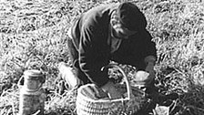 Rübenarbeiter