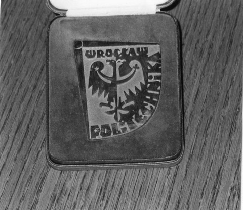 Foto einer Polnischen Medaille/Abzeichen