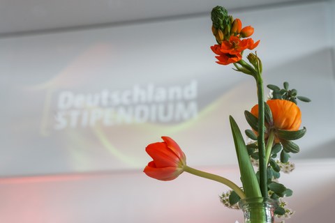 Logo des Deutschlandstipen­dium hiner Blumen.