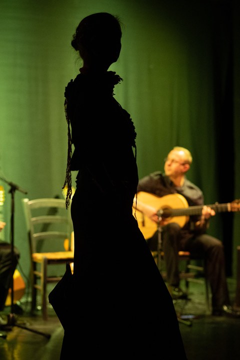 Flamenco Tänzer