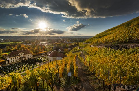 Schloss Wackerbarth