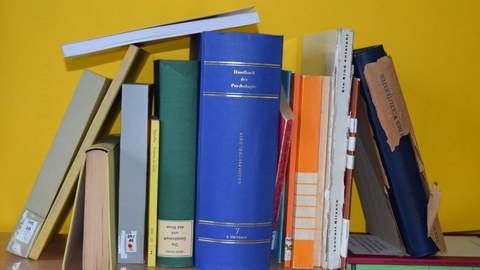 Sinnbildlich für unterschiedlichste Voraussetzungen und Bedarfe sind unterschiedlichste Bücher in ein Regal einsortiert.