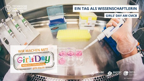 Das Bild zeigt ein Foto von einer Hand die eine rosa Flüssigkeit mit einer elektrischen Pipette in Behältern füllt.