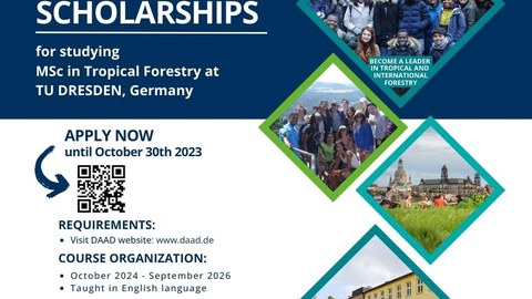 Tropical Forestry Call for Applicants 2024