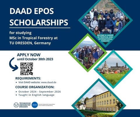 Tropical Forestry Call for Applicants 2024