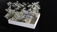 Modell - Architecture and Construction Talks 2026