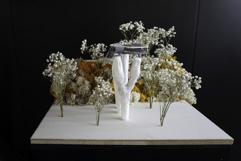 Modell - Architecture and Construction Talks 2026