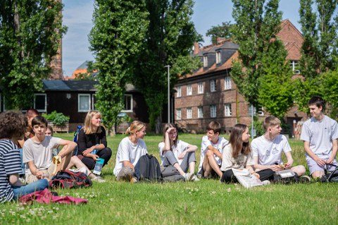 Eine Gruppe Jugendlicher entspannt auf einer Wiese
