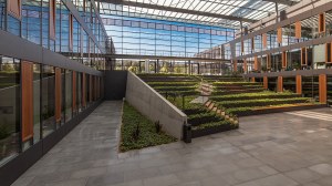 Foyer of the new building of the biological institutes of the TU Dresden. Numerous plants grow inside.